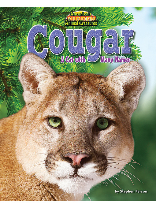 Cover image for Cougar